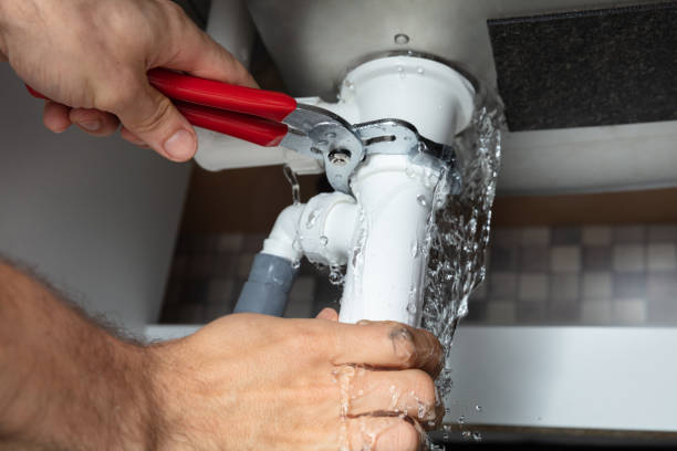 Best Mold removal after water damage  in Loughman, FL