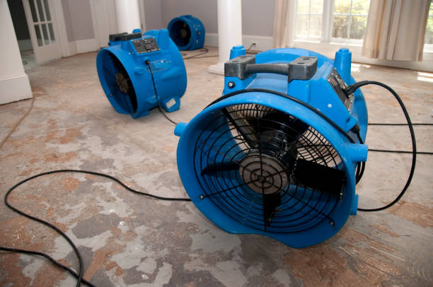 Best Water damage restoration near me  in Loughman, FL