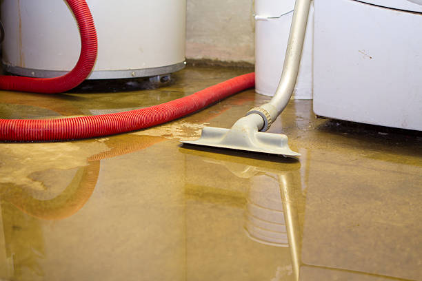 Best Water damage restoration specialists  in Loughman, FL