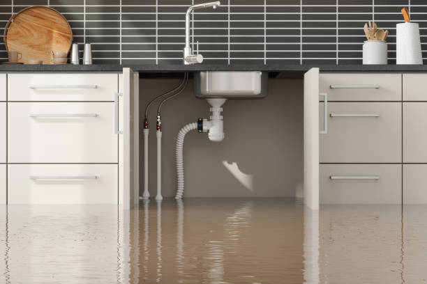 Loughman, FL Water damage restoration Company
